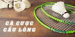 Bí Kíp Cá Cược Cầu Lông Tại FOR88 Đạt Tỷ Lệ Thắng Cao