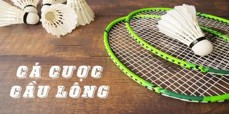 Bí Kíp Cá Cược Cầu Lông Tại FOR88 Đạt Tỷ Lệ Thắng Cao