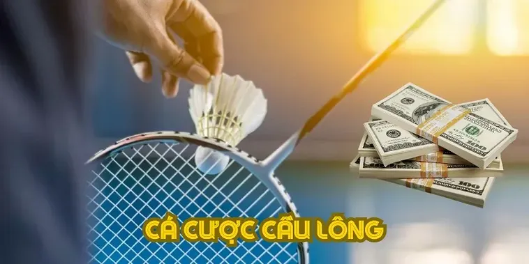 Bí Kíp Cá Cược Cầu Lông Tại FOR88 Đạt Tỷ Lệ Thắng Cao
