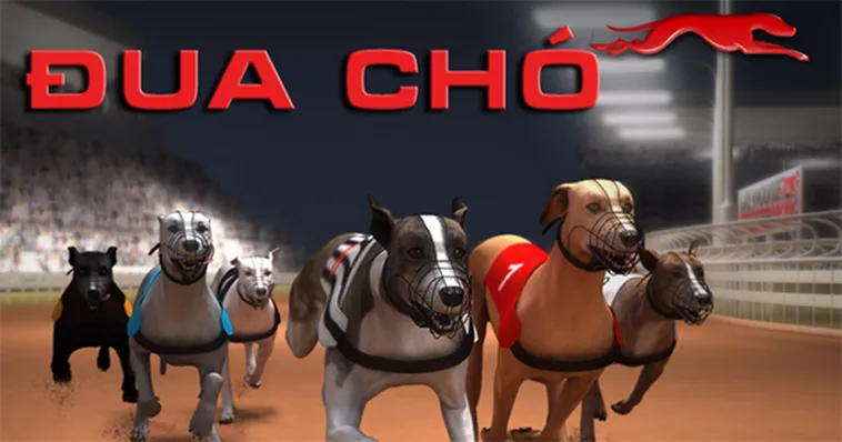 Cách Chơi Game Nhanh Đua Chó Tại FOR88 Để Thắng Lớn 2 Cách Chơi Game Nhanh Đua Chó Tại FOR88 Để Thắng Lớn